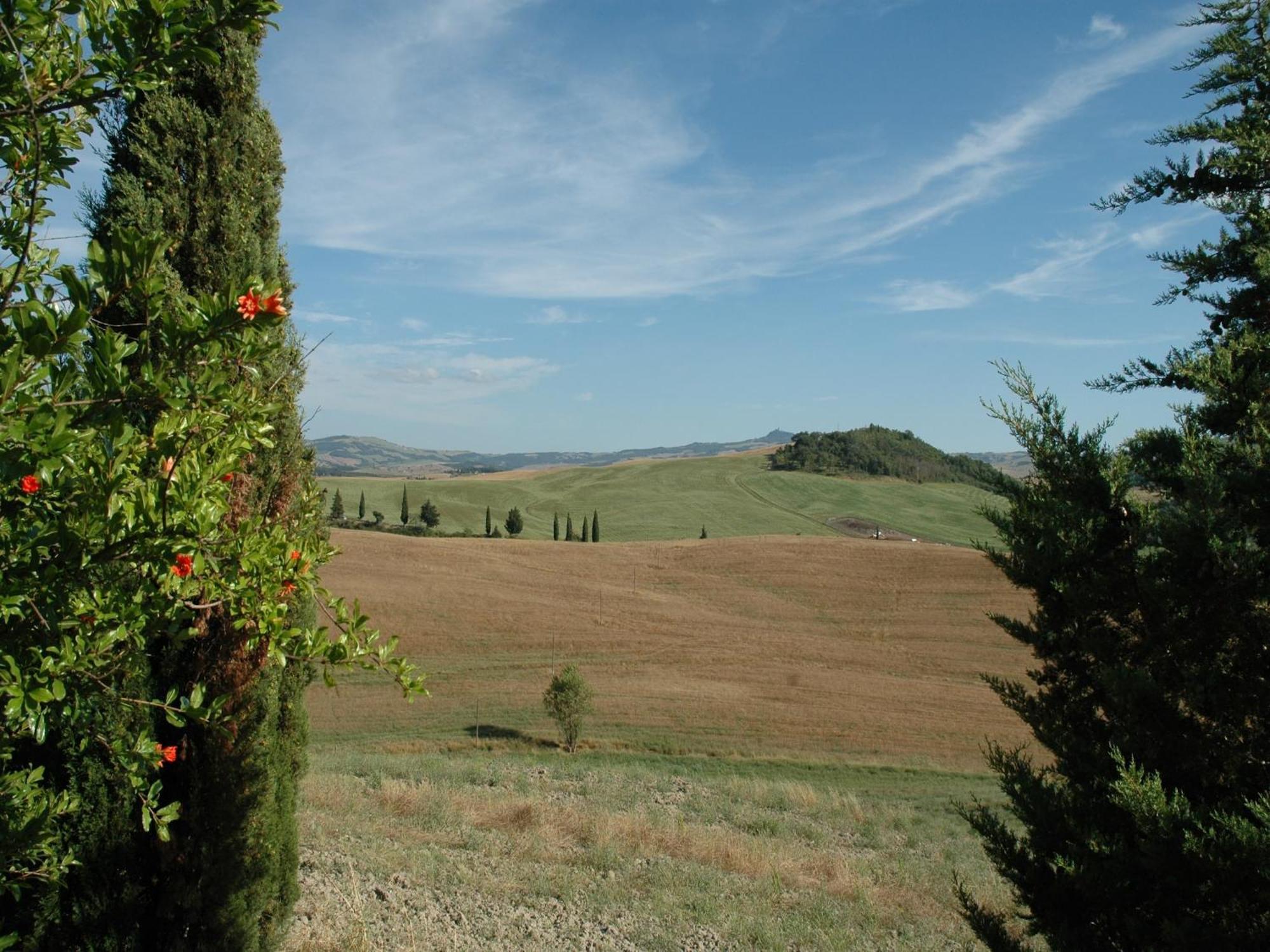 Modern Farmhouse In Pienza With Pool Kültér fotó